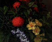 Allemanda Ixora And Orchids - 约翰·劳伦茨·延森